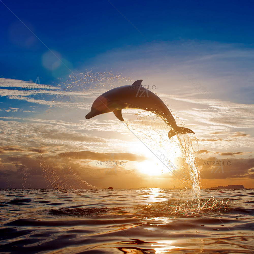 Dolphin Leaping Jumping — Animals custom art by ArtzFolio