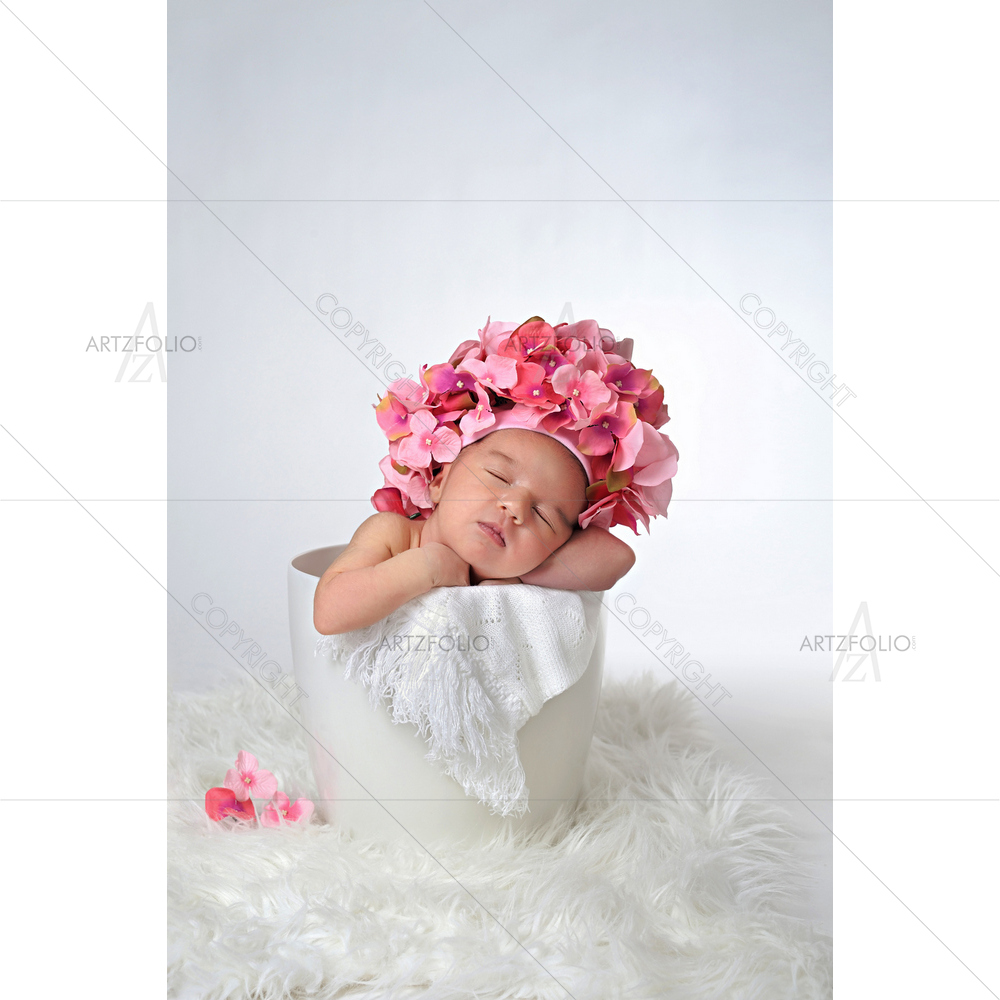 Newborn Baby Sleeping in Flower Pot — custom-size art design 5009612