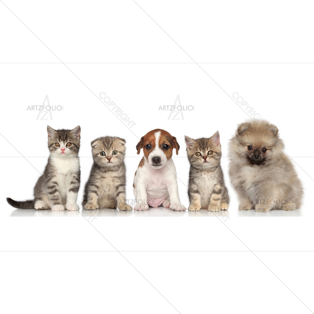 Kittens and Puppies — custom-size art design 5009626