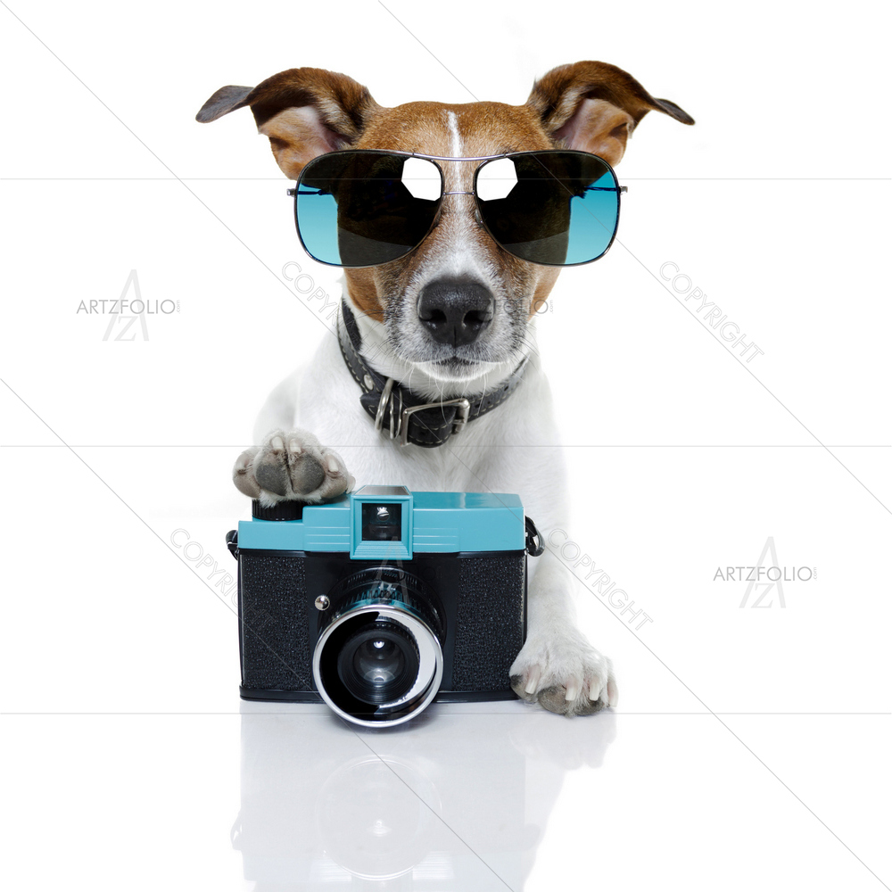Dog Taking Pictures — custom-size art design 5009629