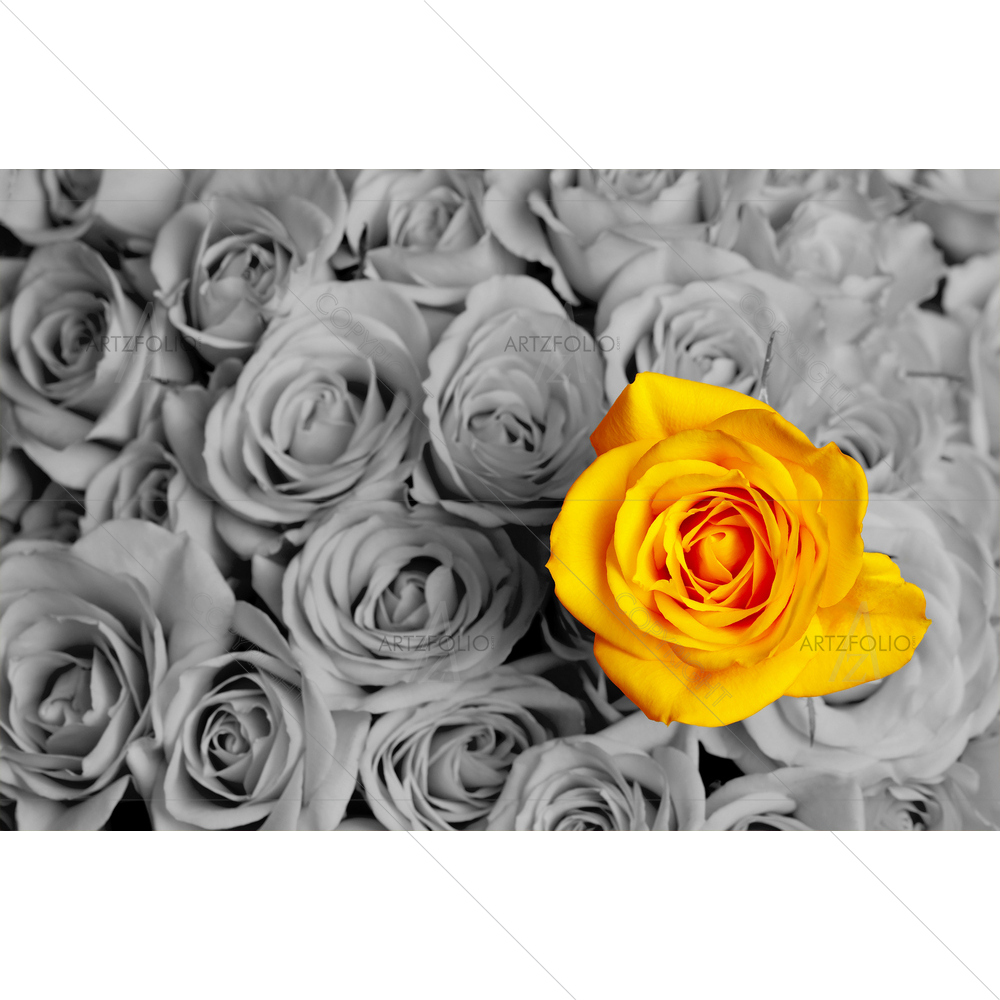 Yellow Rose Standing Out — Botanical custom art by ArtzFolio