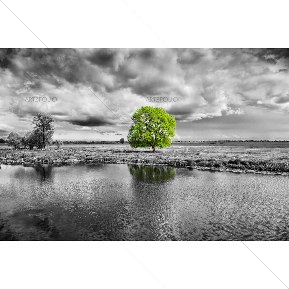 Green tea in Black & White Landscape — custom-size art design 5009634