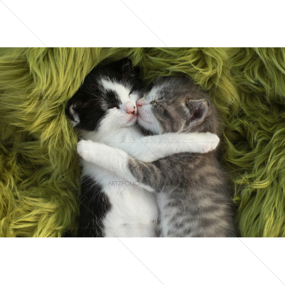Little Kittens — custom-size art design 5009655