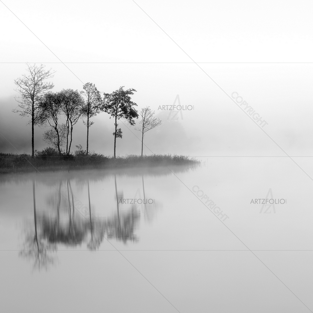 Trees in Mist Reflection — Others custom art by ArtzFolio