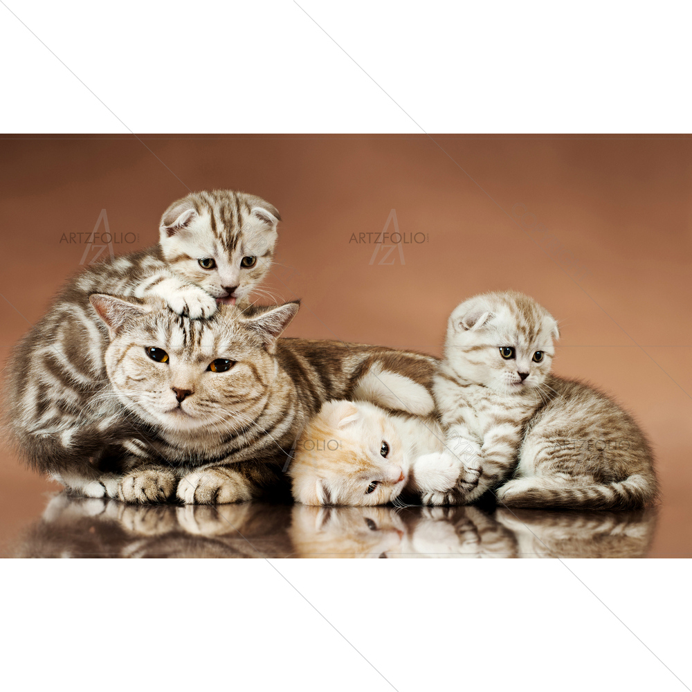 Three Kittens With Mother — custom-size art design 5009663