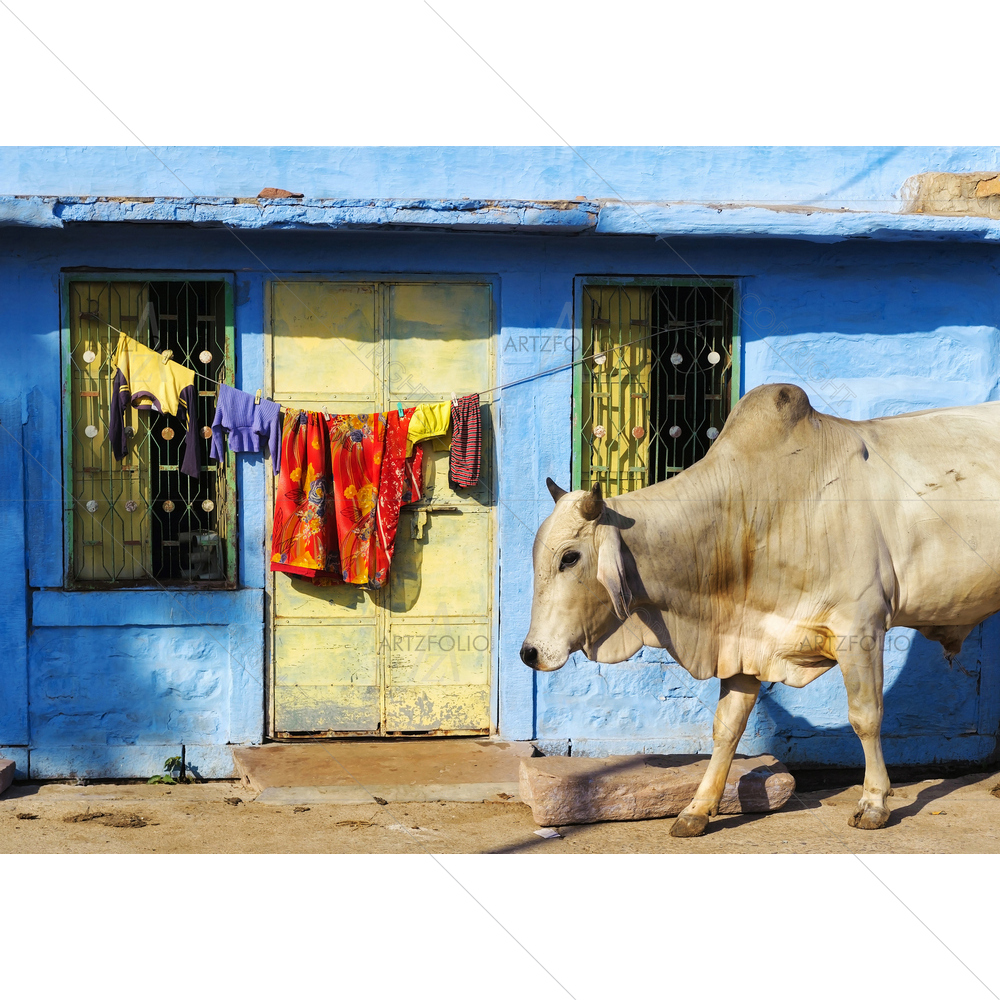 Blue City, Jodhpur, Rajasthan — Abstract custom art by ArtzFolio