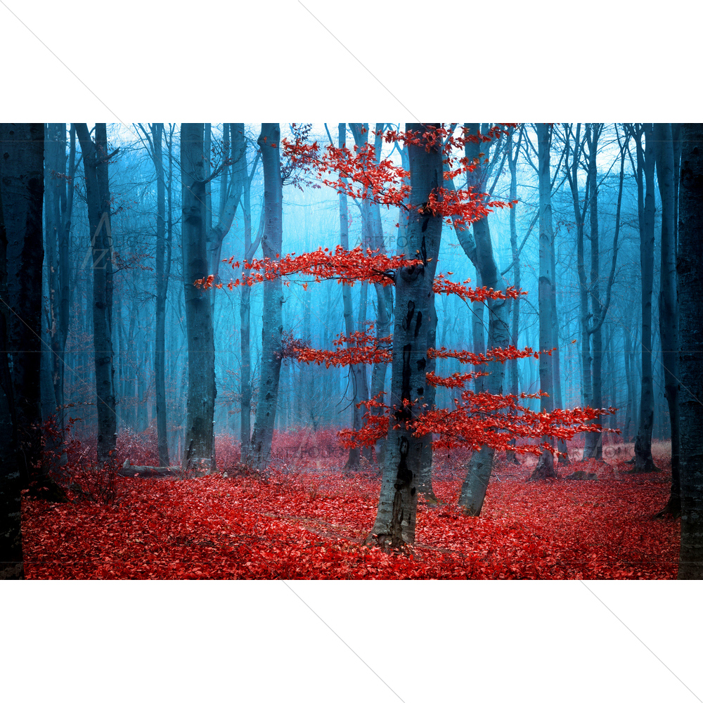 Fog in Forest — custom-size art design 5009691