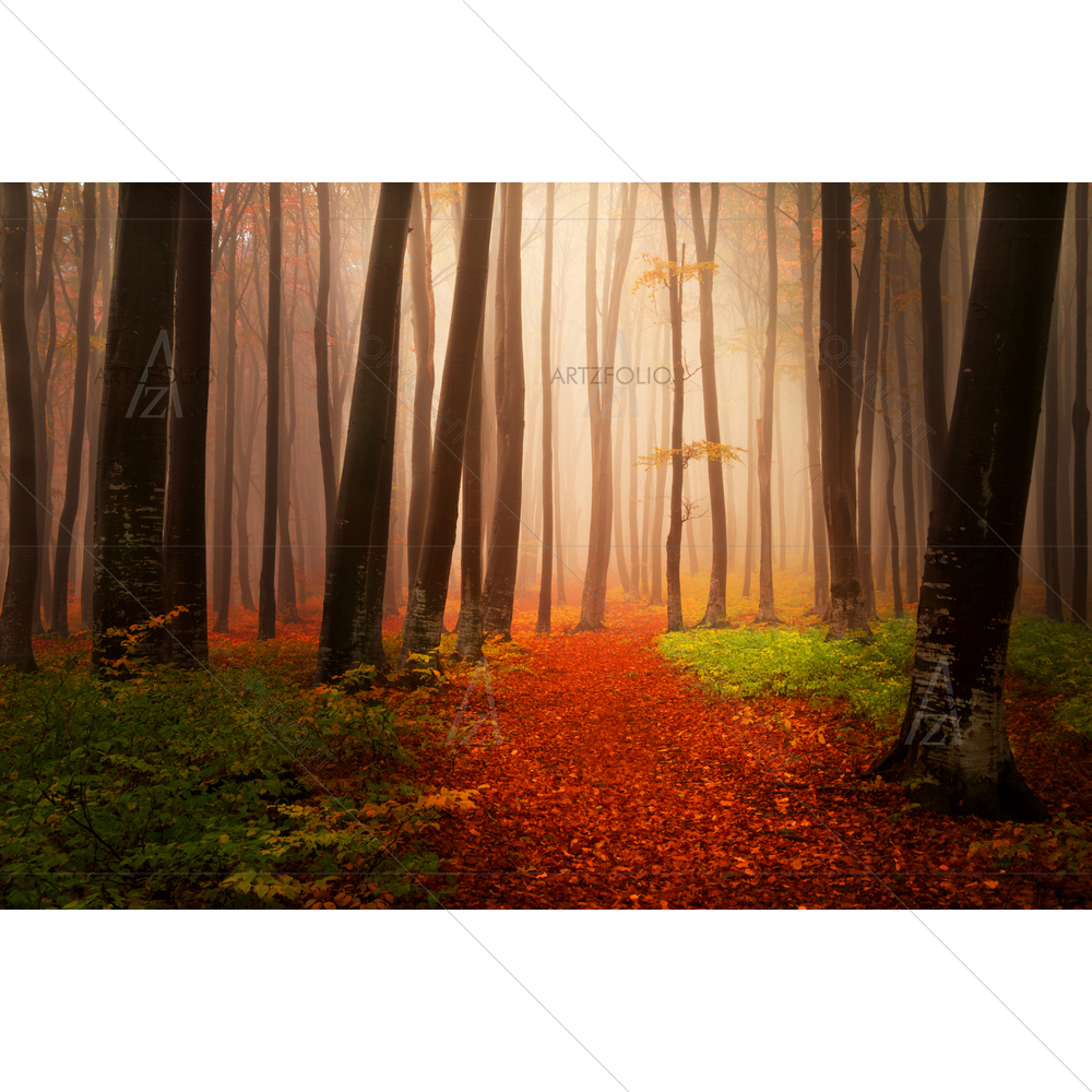 Foggy Autumnal Day — Landscapes custom art by ArtzFolio
