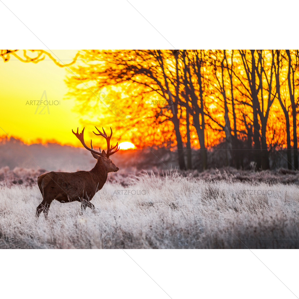 Red Deer — custom-size art design 5009715