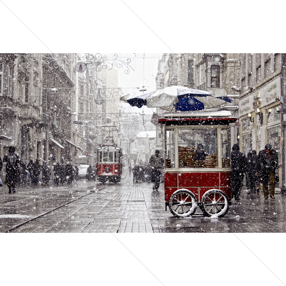 Istanbul Traditional Fast Food — custom-size art design 5009740