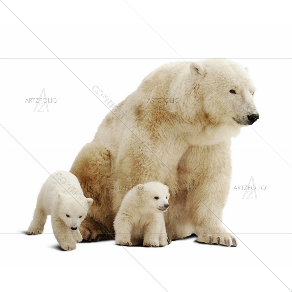 Polar Bear with Cubs — custom-size art design 5009744