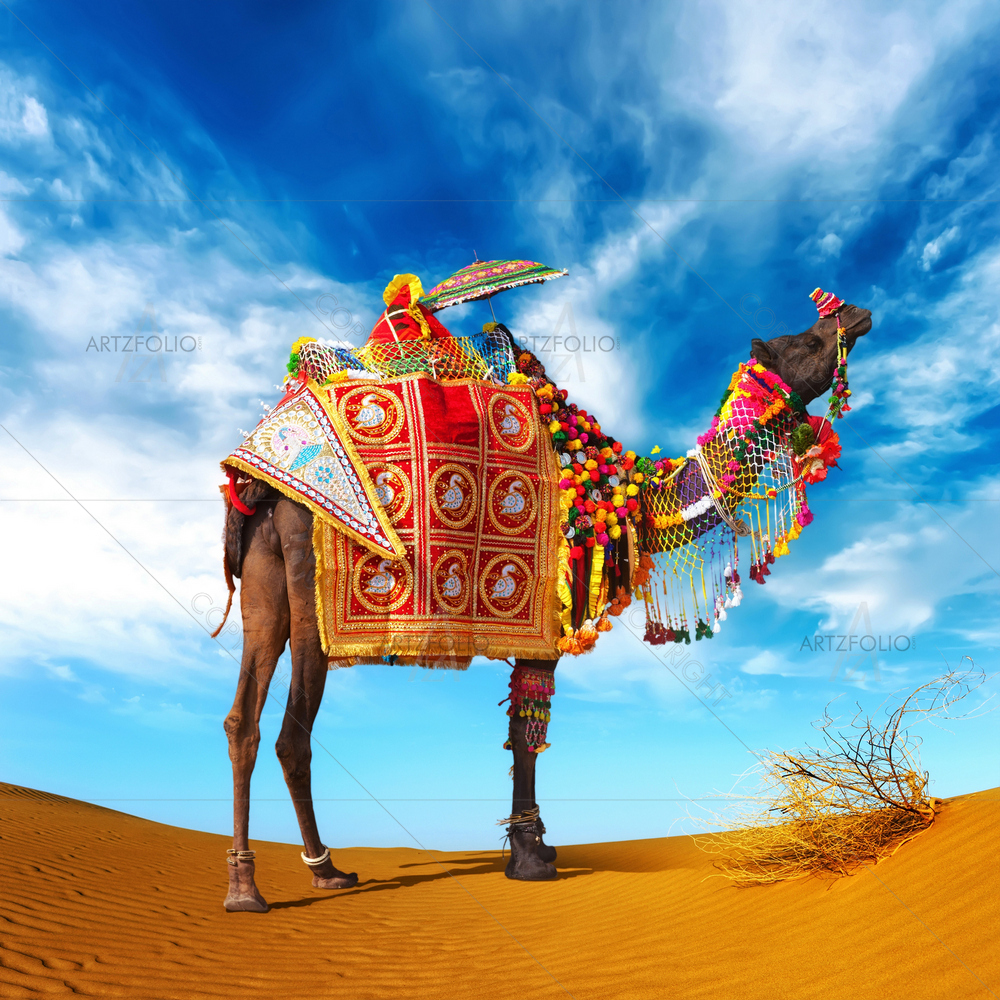 Rajasthan Indian Camel — custom-size art design 5009756