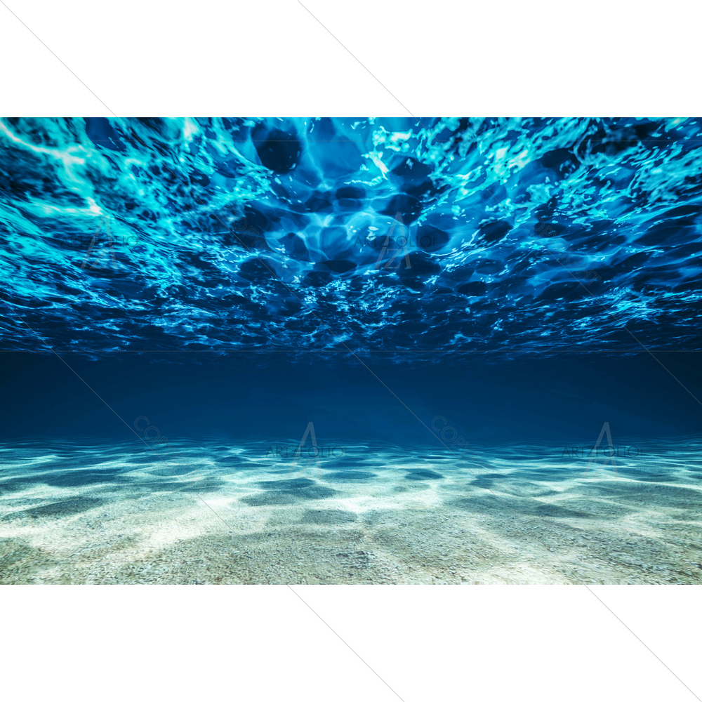 Ocean Bottom and Surface — custom-size art design 5009757