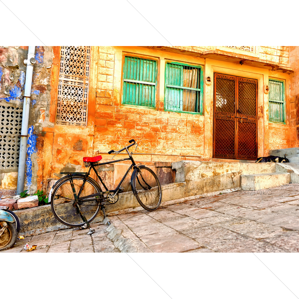 Indian Street, Rajasthan — custom-size art design 5009762