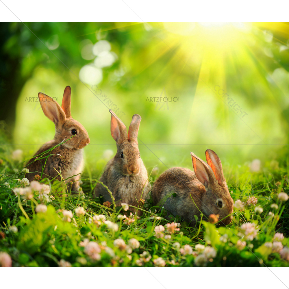 Little Easter Bunny in Meadow — custom-size art design 5009785