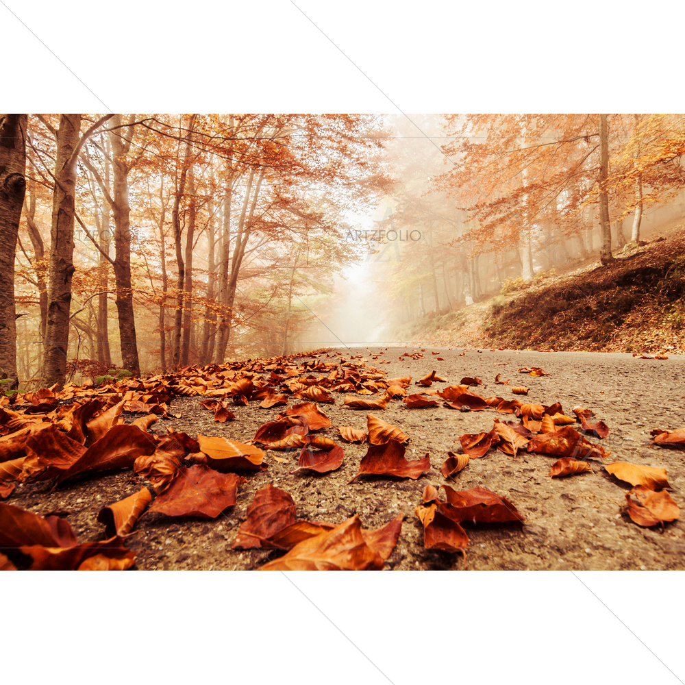 Autumn Beach Landscape — custom-size art design 5009825