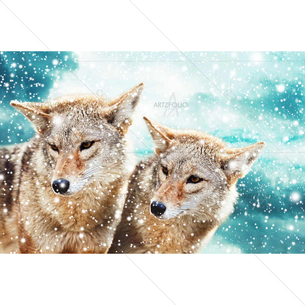 Coyote Pair — Animals custom art by ArtzFolio