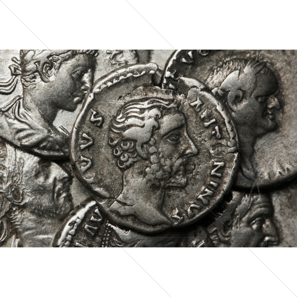 Roman Coins, AR Denarius — custom-size art design 5009871