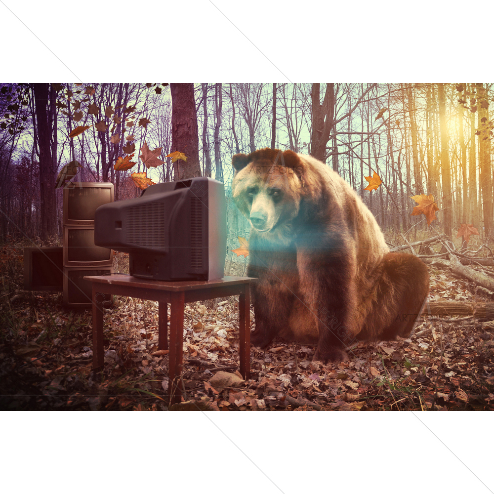 Wild Brown Bear Watching TV — custom-size art design 5009882