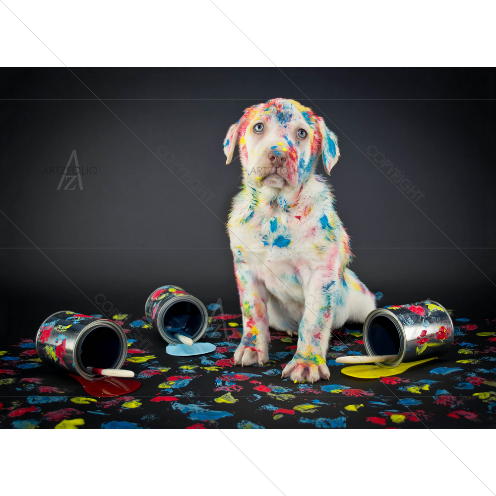 Lab Puppy Image — custom-size art design 5009890