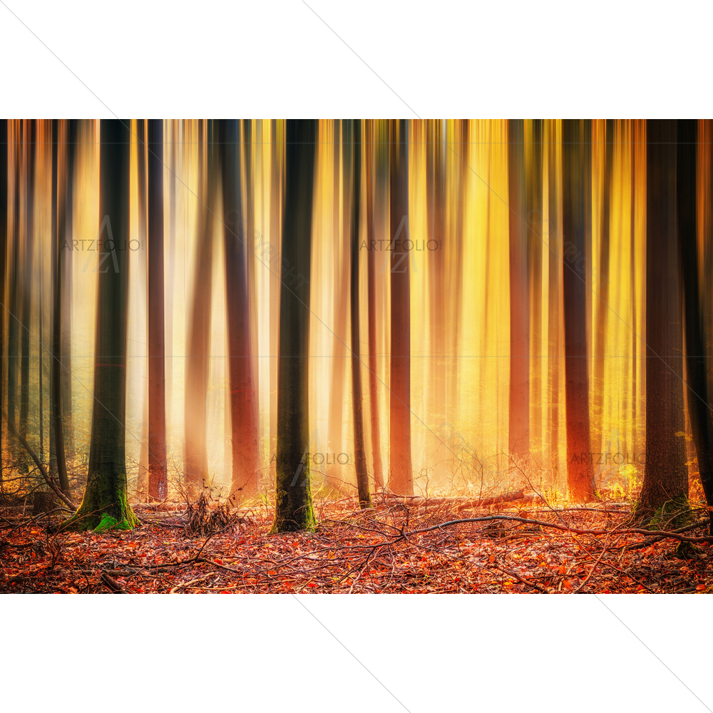 Enchanted Autumn Forest — Automobiles custom art by ArtzFolio