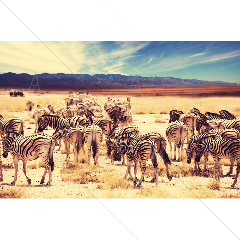 Wild Zebra — custom-size art design 5009899