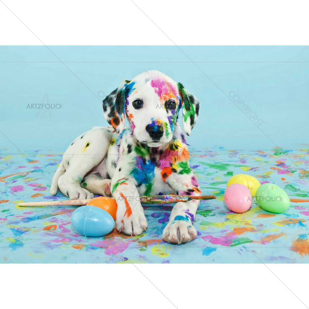 Little Dalmatian Puppy — custom-size art design 5009904
