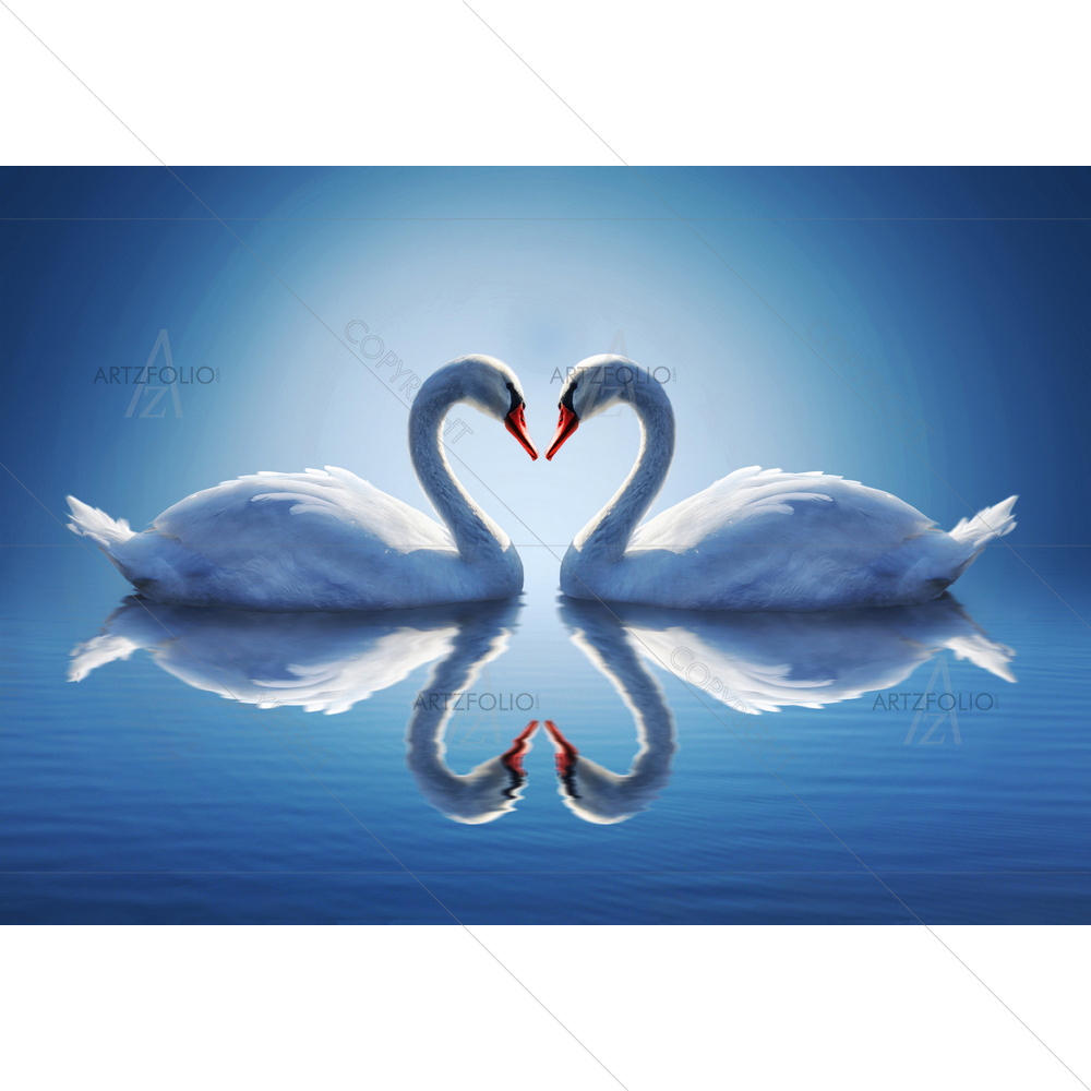 Romantic Swans Reflection — Animals custom art by ArtzFolio