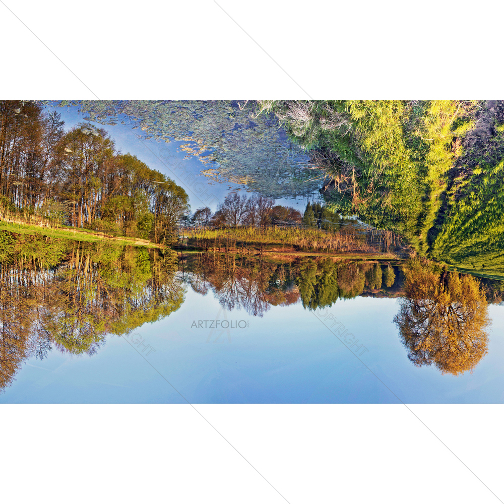 Trees and Skies Reflection — Countries custom art by ArtzFolio