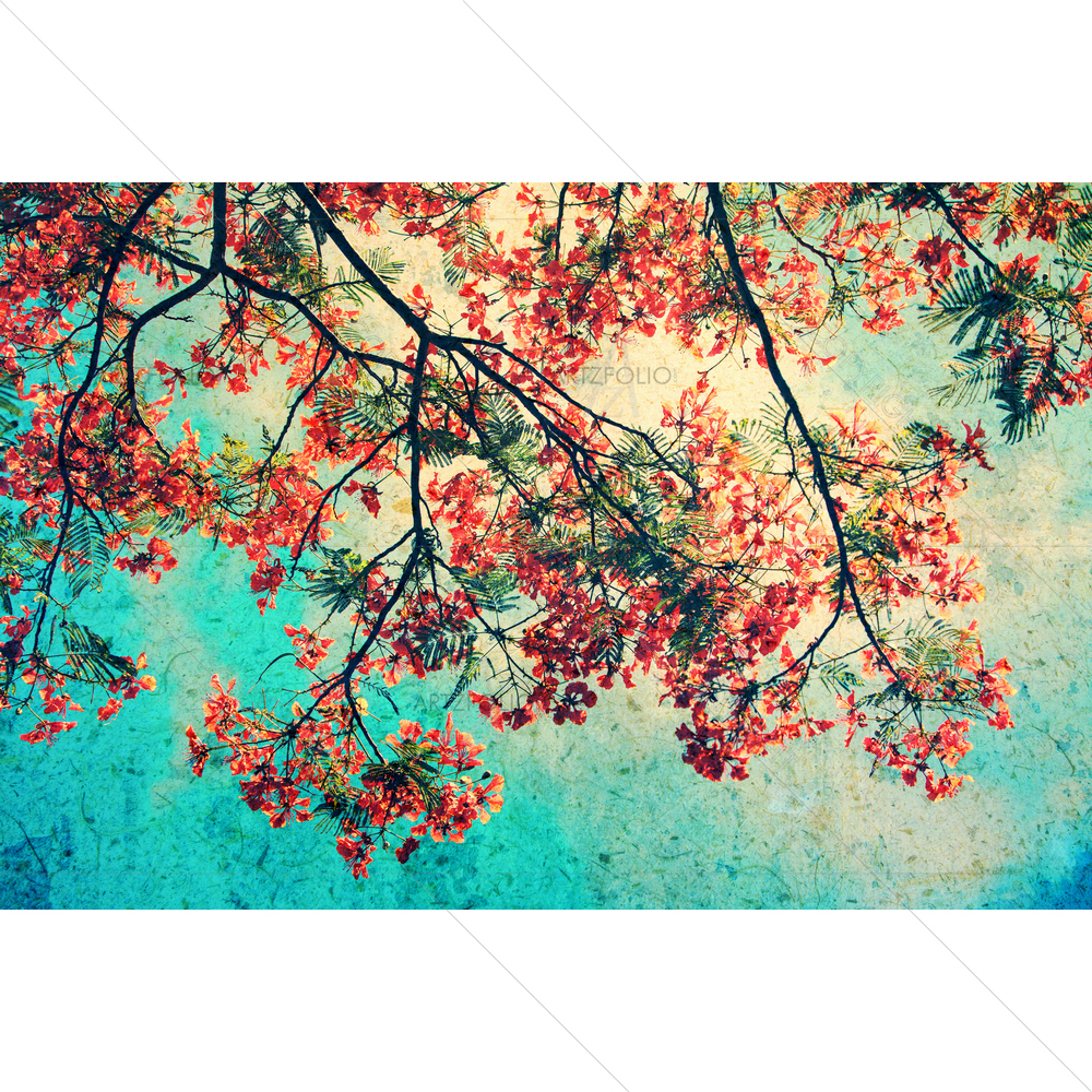 Peacock Flowers — custom-size art design 5010002