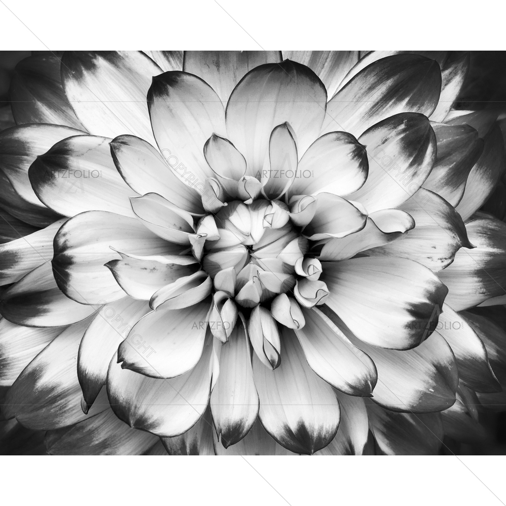 Macro Flower — Botanical custom art by ArtzFolio