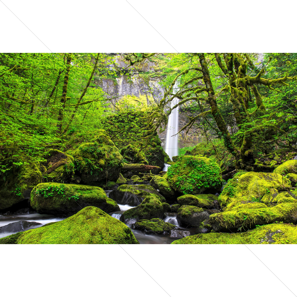Elowah Falls, Columbia Gorge — custom-size art design 5010021
