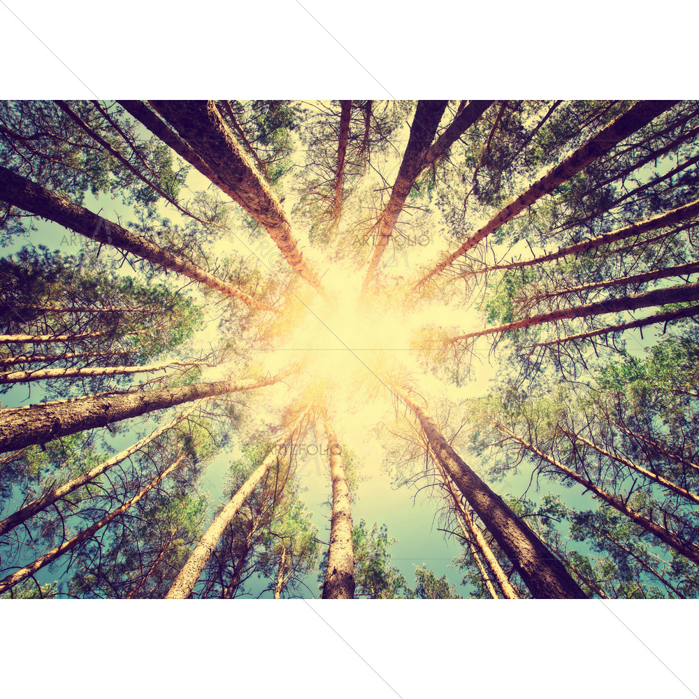 Retro Forest — Landscapes custom art by ArtzFolio