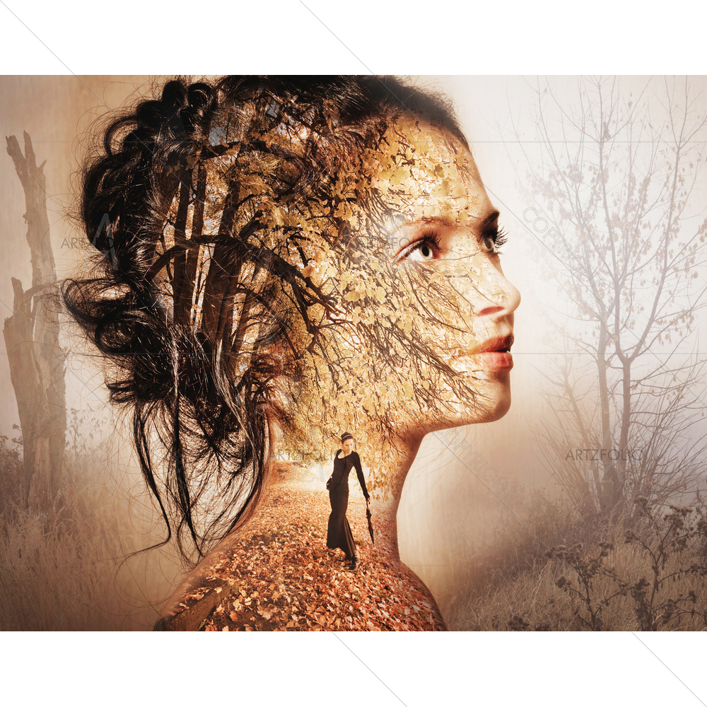Woman Portrait D17 — custom-size art design 5010062