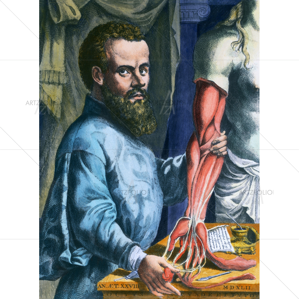 Andreas Vesalius Portrait — Portraits custom art by ArtzFolio