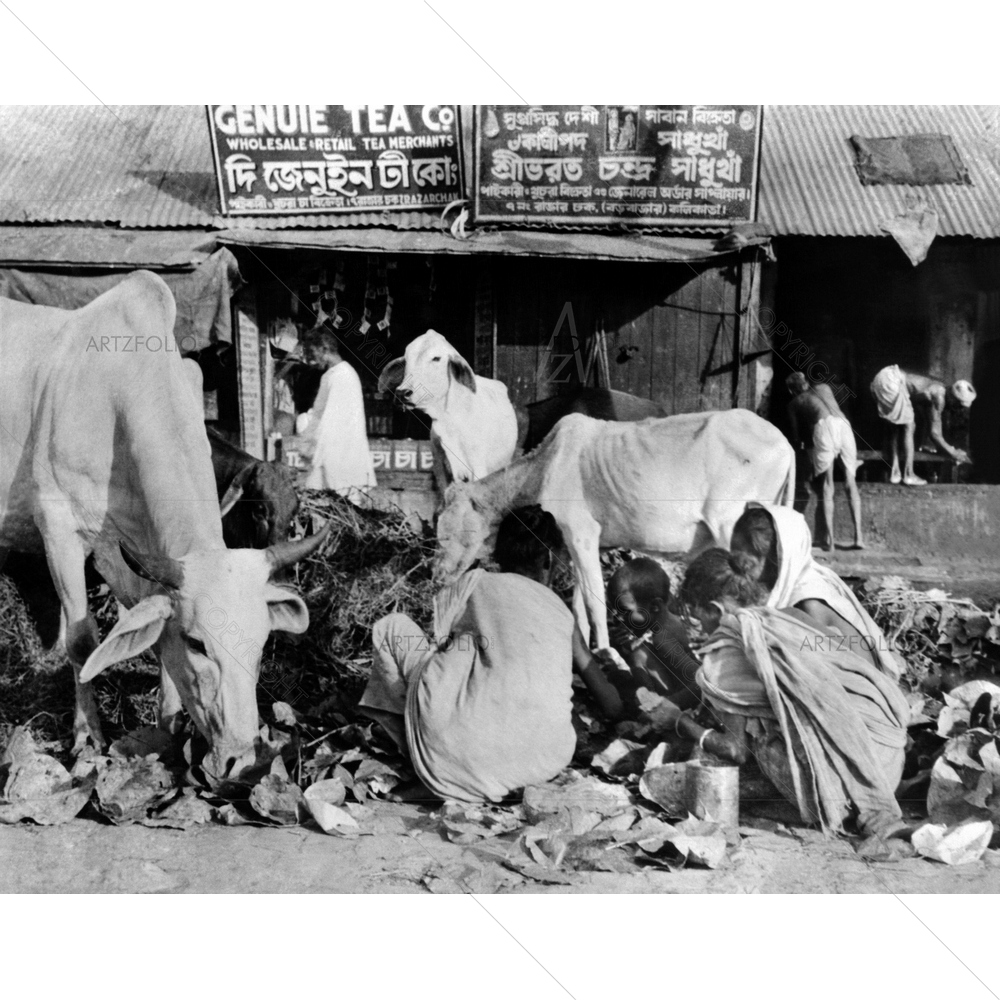 Calcutta Scene at Peak of India's Famine, October 1943 — Ancient custom art by ArtzFolio