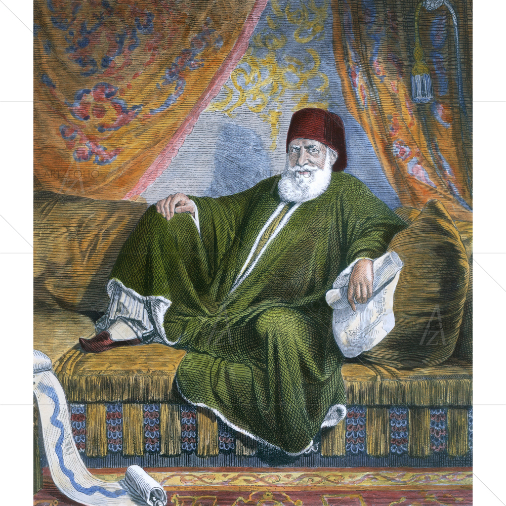 Mehmet Ali Pasha, 1769-1849 — custom-size art design 5010117
