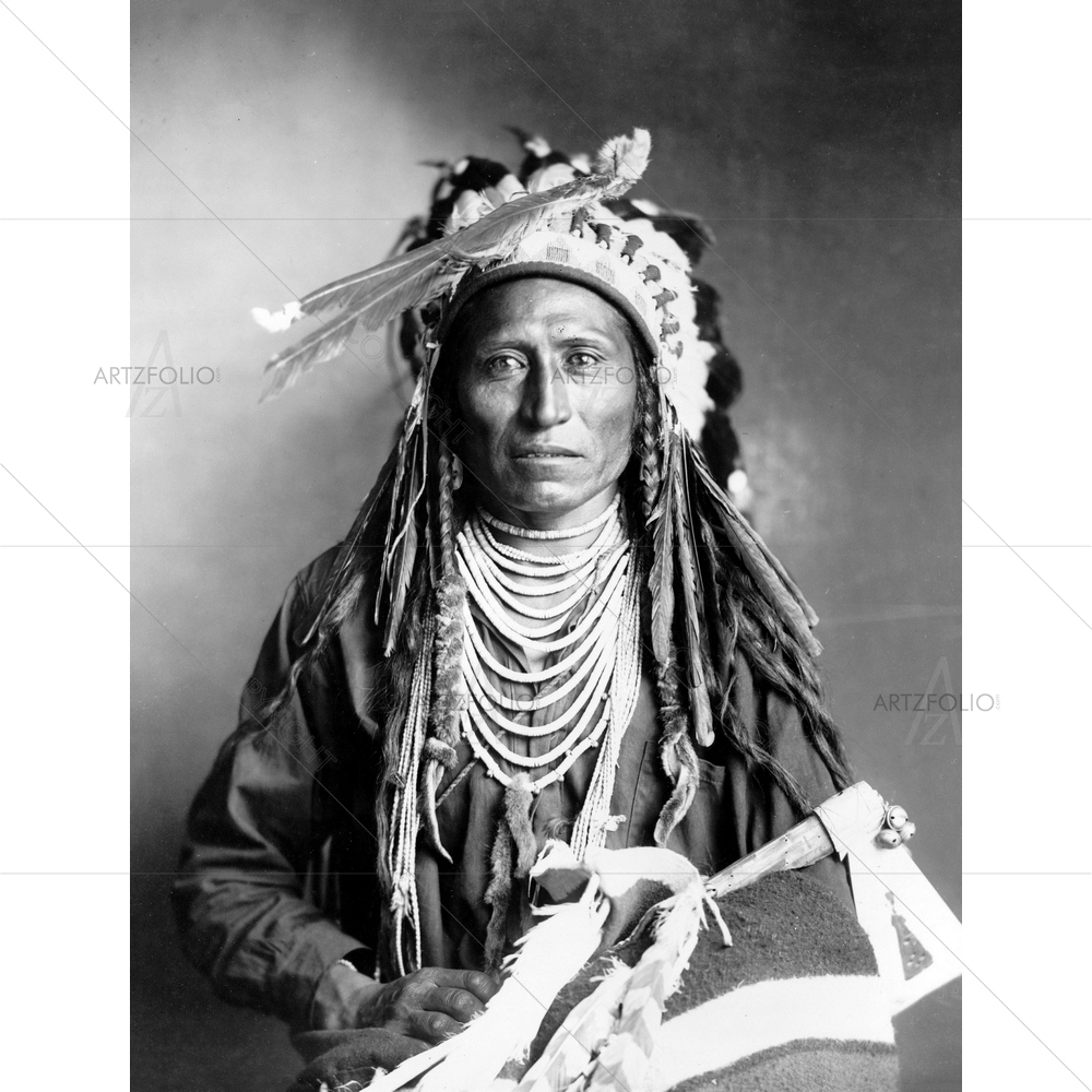 Heebe-Tee-Tse of Shoshone Nation Portrait — Portraits custom art by ArtzFolio