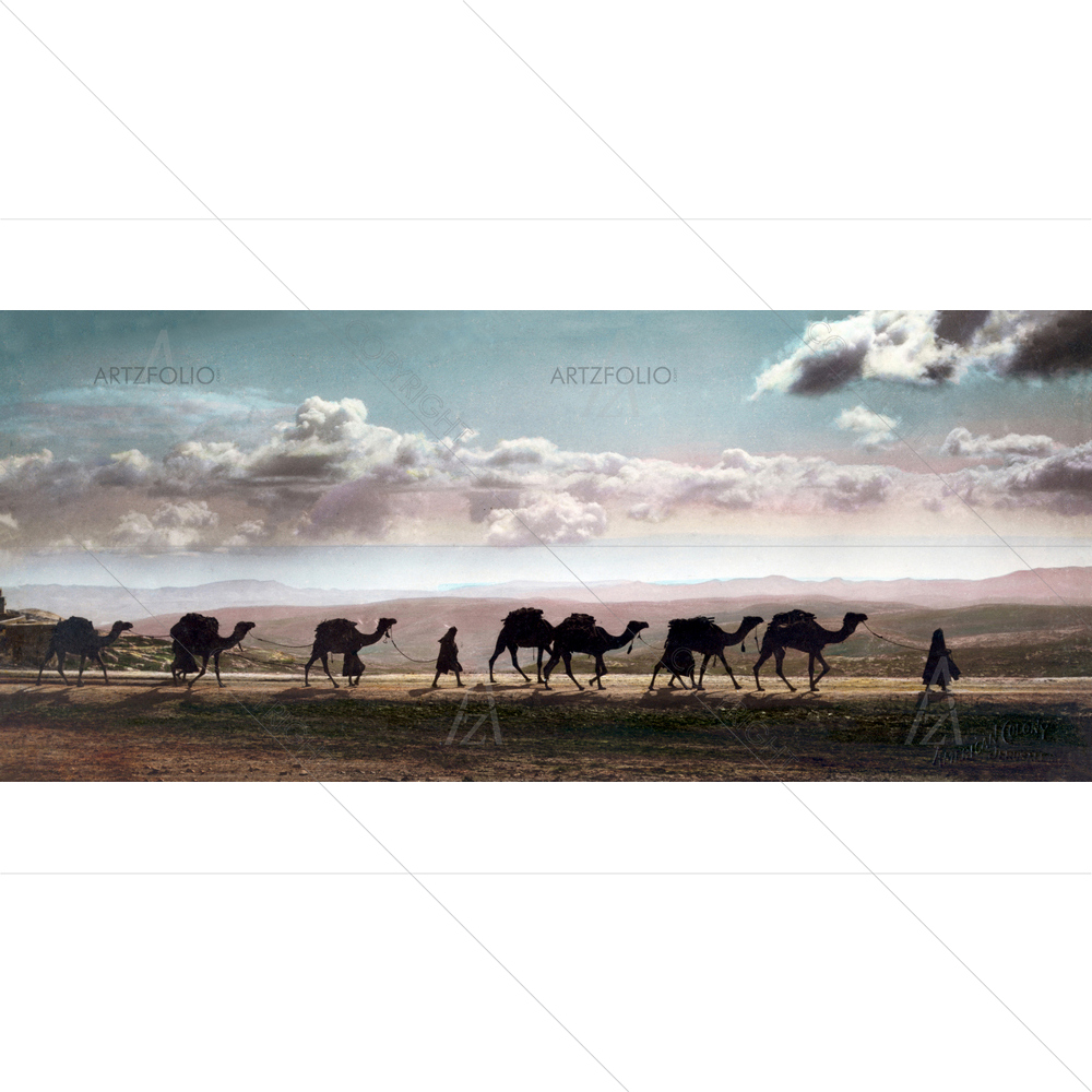 Camel Caravan on Mount of Olives, Palestine, 1919 — custom-size art design 5010128
