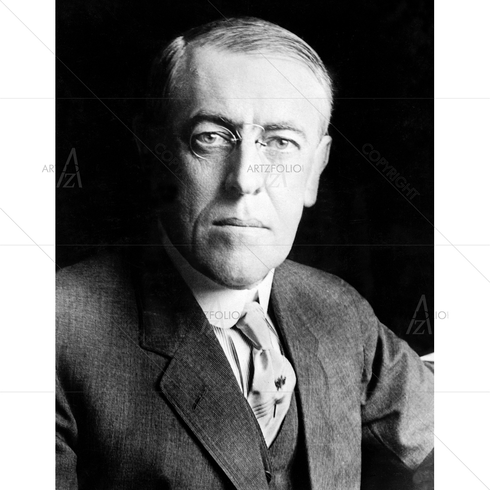 President Woodrow Wilson Portrait, 1856-1924 — custom-size art design 5010136
