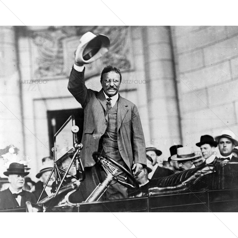 Theodore Roosevelt Waving His Hat — custom-size art design 5010137