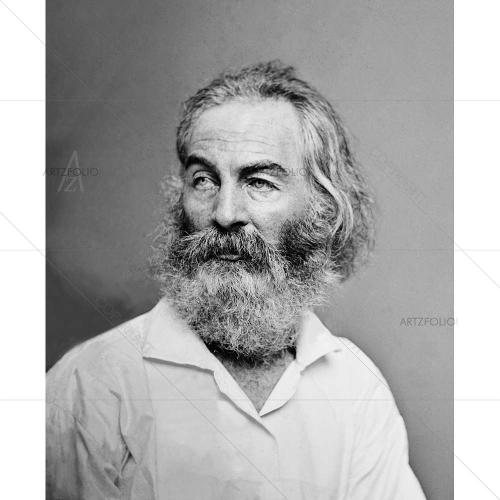 Walt Whitman, American Poet, Author, 1819-1892 — custom-size art design 5010138