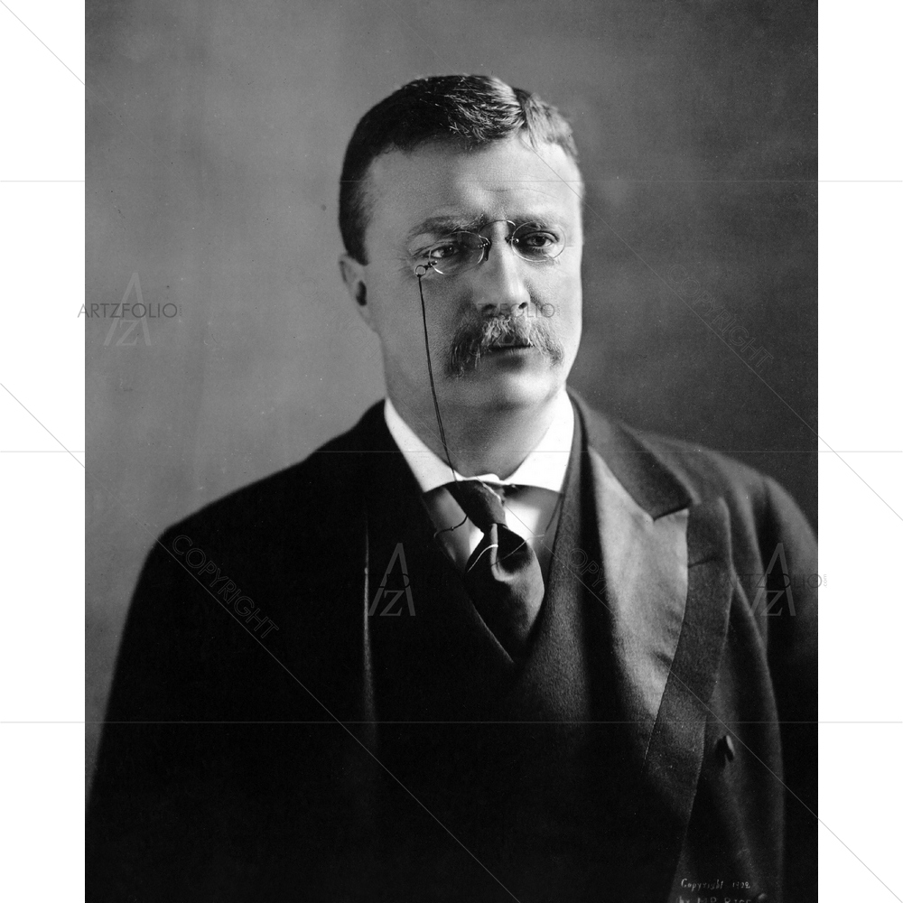 Theodore Roosevelt Portrait — custom-size art design 5010143