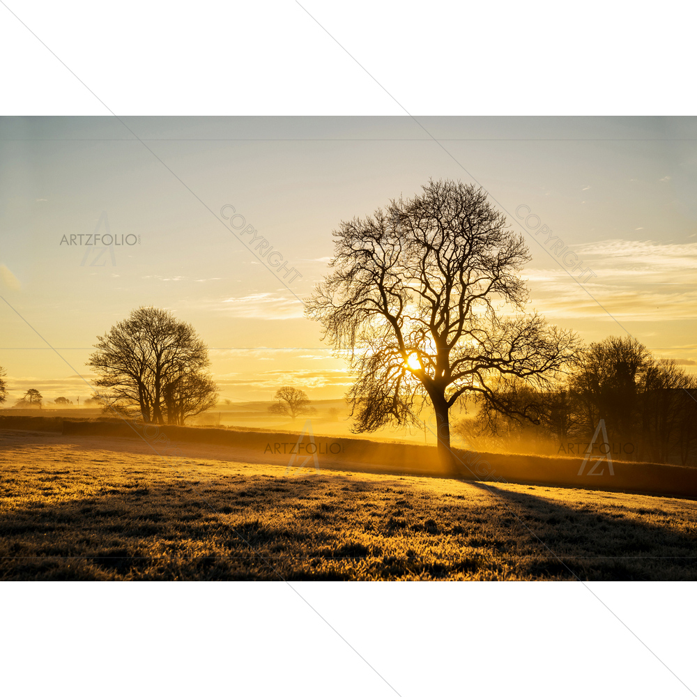 Sunrise at Pengover Green, UK — custom-size art design 5010148