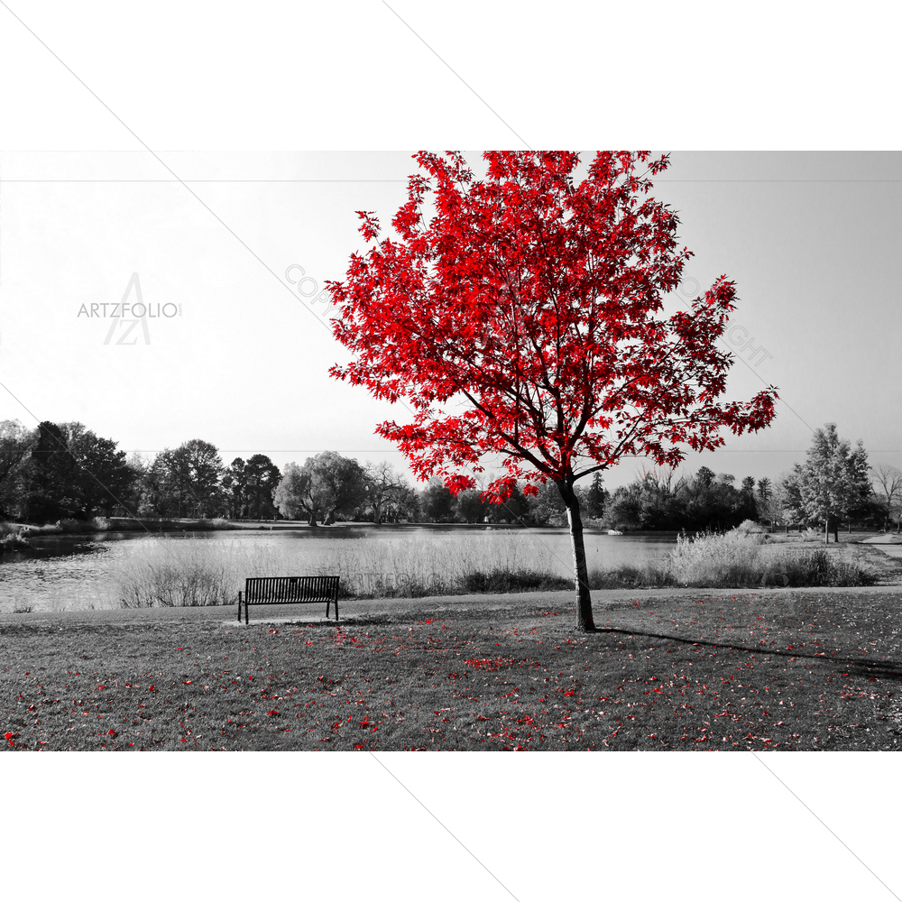 Empty Park Bench Under Red Tree — custom-size art design 5010225
