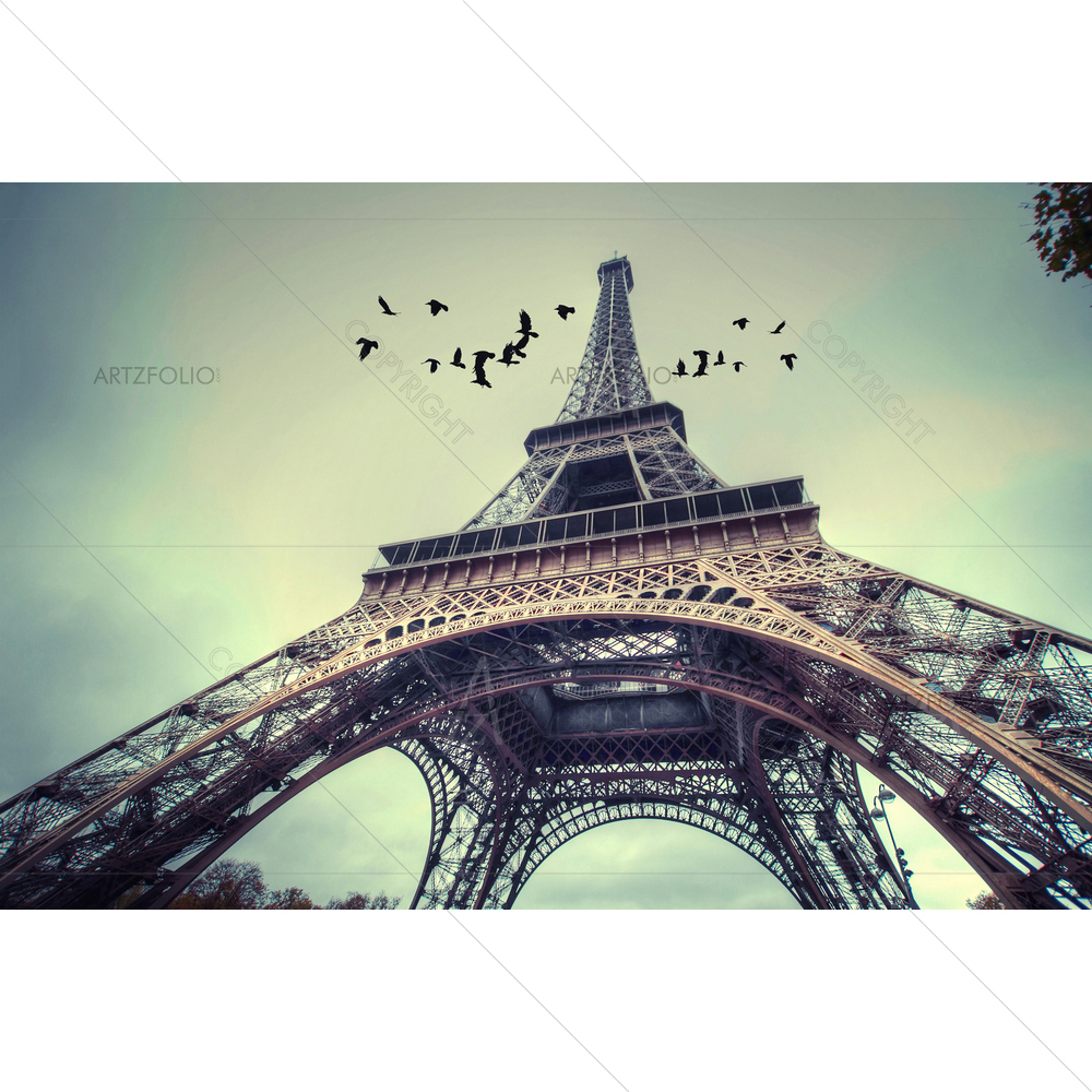 Paris Architecture — custom-size art design 5010263