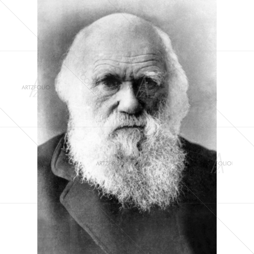 Charles Darwin Portrait, 1809-1882 — Ancient custom art by ArtzFolio