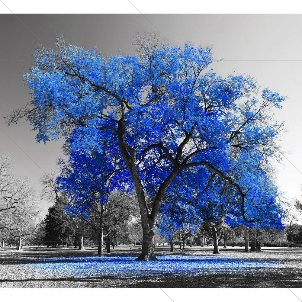 Red Tree Landscape D1 — Devotional custom art by ArtzFolio