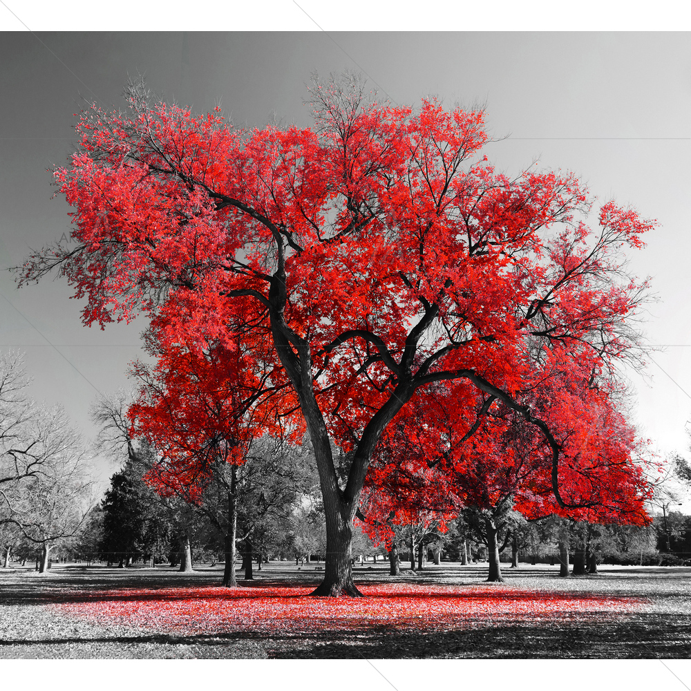Red Tree Landscape D2 — custom-size art design 5010348