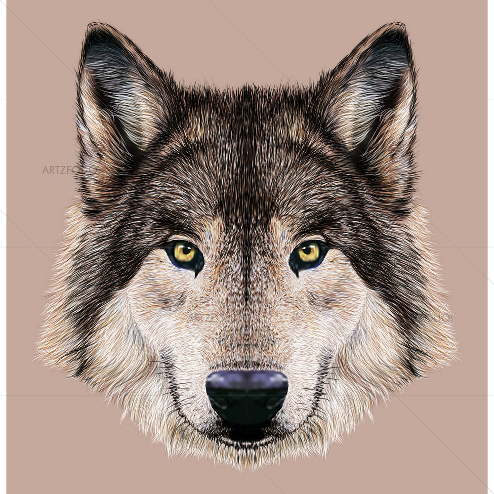Wild Wolf Portrait D1 — Animals custom art by ArtzFolio